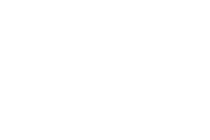 Dog and Cat Icon